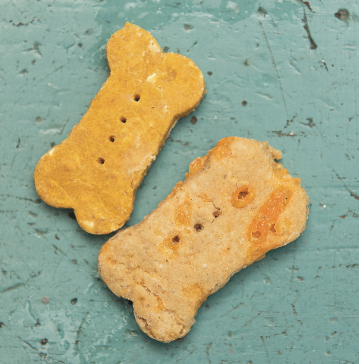 The Pet Issue 2020: Snack Attack